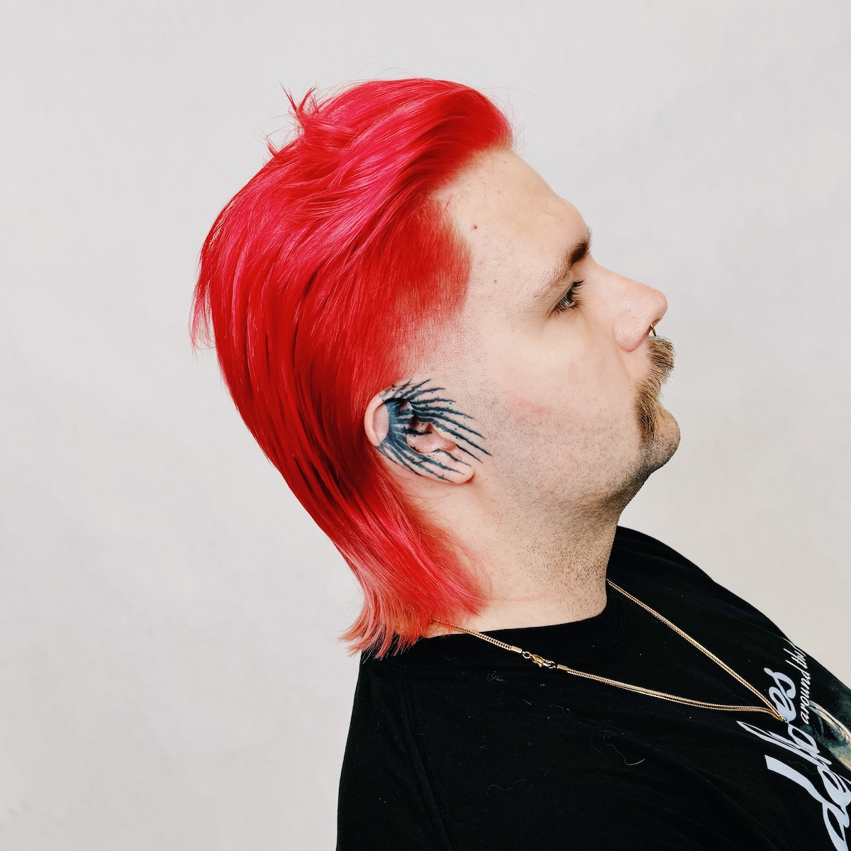 Disconnected Mullet - photo 2