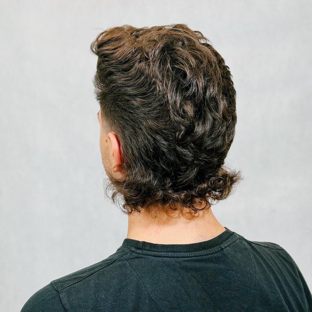 Queens Pompadour - photo 3