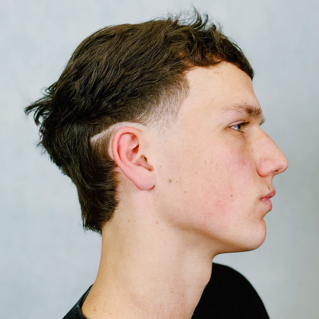 Triple Disconnect Mullet